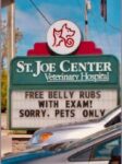 animal-hospital
