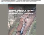 Sink-Hole