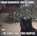 fainting-tree