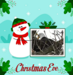 CHRISTMAS-EVE