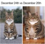 12-2412-26