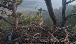 0E.12.26.25bluejays