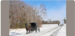 amish