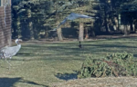 Screenshot-2025-12-29-134111
