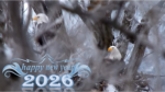 2026-DECORAH