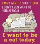 Aunty-Acid-1-2-cat