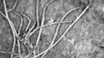 Zrzut-ekranu-57902