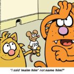 Learn-to-Speak-Cat-1-3-maim