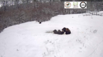 Zrzut-ekranu-57921