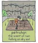 smell-of-rain