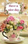 Nice-day
