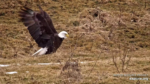 Zrzut-ekranu-58015