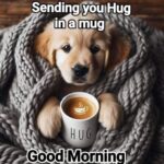 hug
