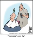 Herman-1-19-dry-scalp