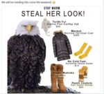 steal