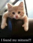 mittens