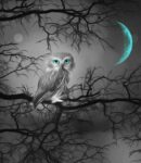 96360362_10159887894433452_5950623475746996224_n