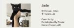 Screenshot_4