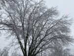 IMG_1406