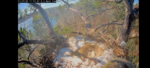 Screenshot_20260127-143321_Chrome