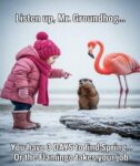 Groundhog-HR-Policy
