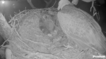 Screenshot-1331