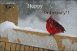 2-1-February