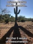 Groundhog-AZ
