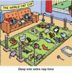 Learn-to-speak-cat-2-3-nap