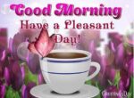 3-pleasant-day