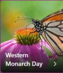 Monarch3