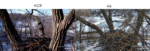 Screenshot-6902-Copy