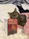 cat-reading