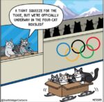 Olympic-Caturday