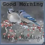 monday-a