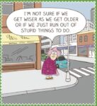 Aunty-Acid-2-9-get-old