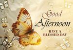 Afternoon-b