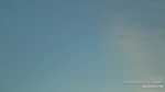 Screenshot-7384