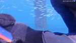 Screenshot-7449