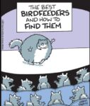 Off-The-Mark-birdfeeder