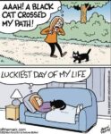 Off-The-Mark-black-cat