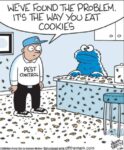 Off-the-Mark-cookie