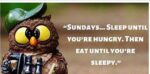 SundayFunny
