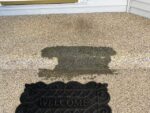 front-step