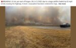 WildFire-2-17-26