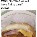 Flying-Car