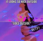 Windy-1