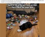 cat-paper-toy