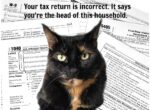 Tax-Kitty