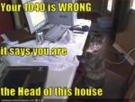 1040-cat-HofH